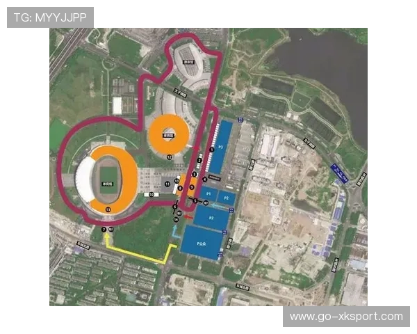 赛车职业新秀赛季潜力研究