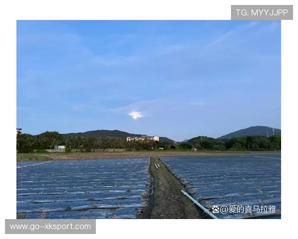 [选手名]晒度假照片：在夏威夷的海滩上，他依然在手机上看Demo复盘复盘